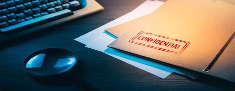 Pre Matrimonial Investigation